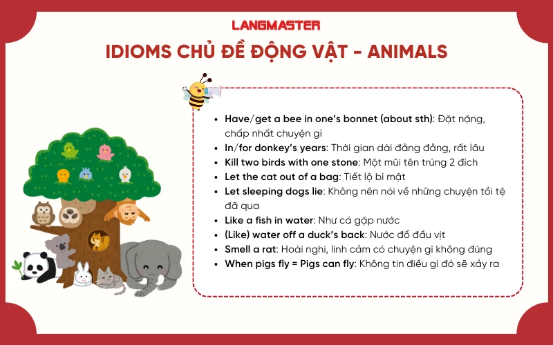 Thành ngữ thi THPT Quốc gia chủ đề Động vật - Animals