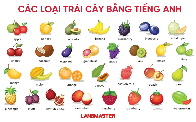 Từ vựng tiếng Anh về các loại trái cây