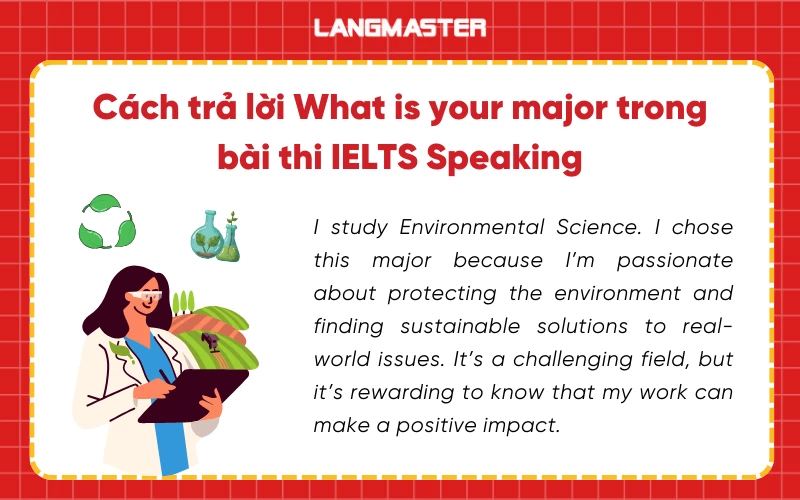 câu trả lời what is your major trong ielts spaeking part 1.3