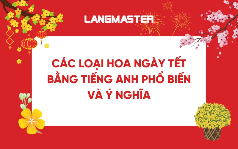 Tổng hợp các loại hoa ngày Tết bằng tiếng Anh phổ biến và ý nghĩa