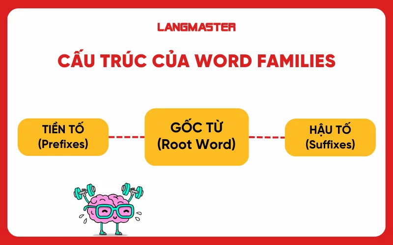 Cấu trúc của Word families