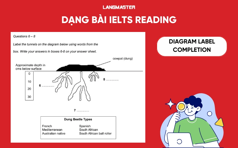 Dạng bài IELTS Reading Diagram Label Completion