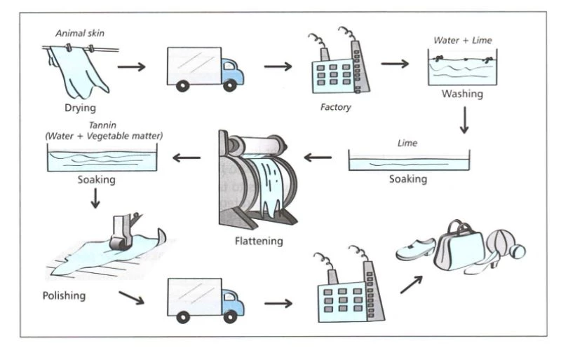 Dạng bài IELTS Writing Task 1 Man-made Process