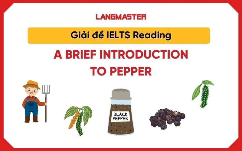 Giải đề IELTS Reading: A brief introduction to pepper [full answers]