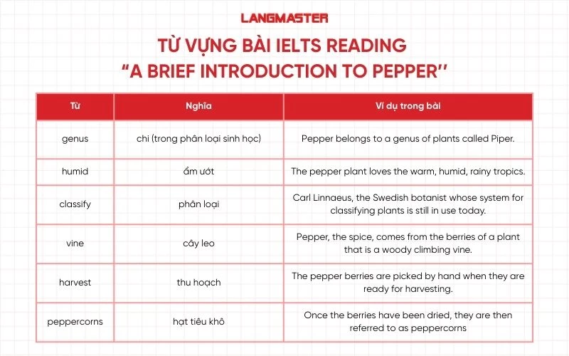 Từ vựng quan trọng trong bài IELTS Reading 