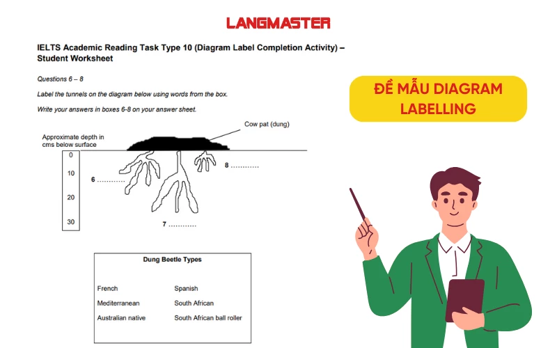 Đề Diagram Labelling mẫu