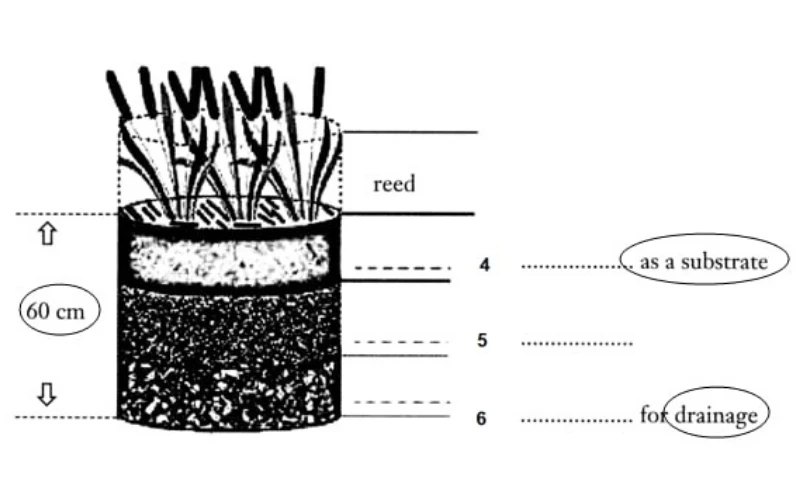 Diagram Labelling IELTS Reading