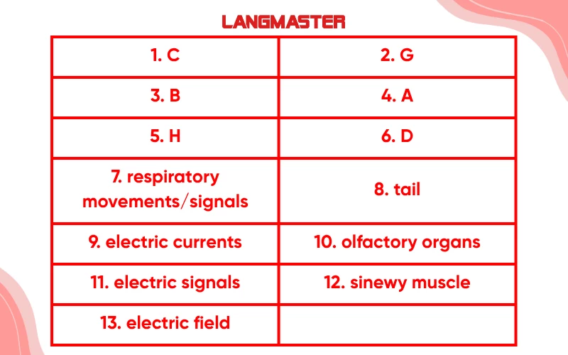 Đáp án chi tiết đề IELTS Reading “Electroreception”