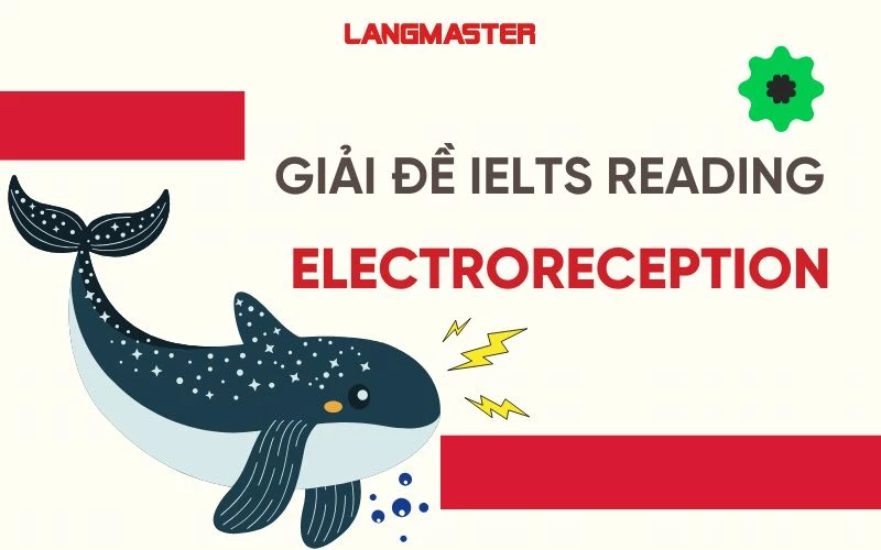 Giải đề IELTS Reading: Electroreception [Full answers]