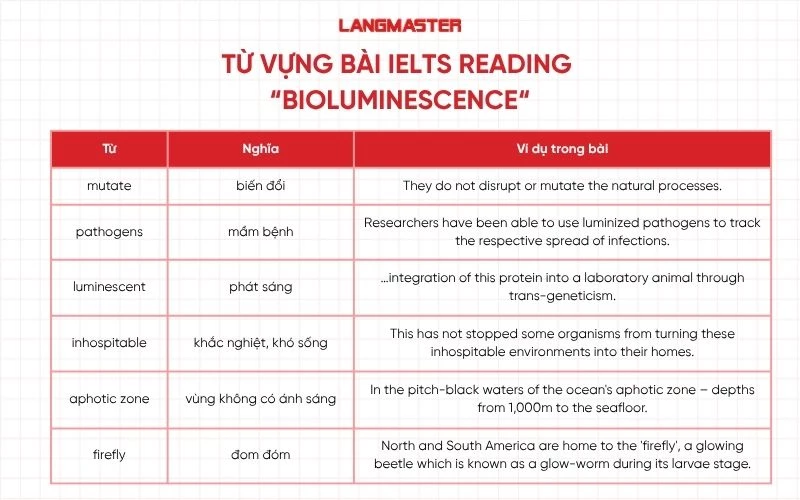 Các từ vựng quan trọng trong bài IELTS Reading “Bioluminescence”