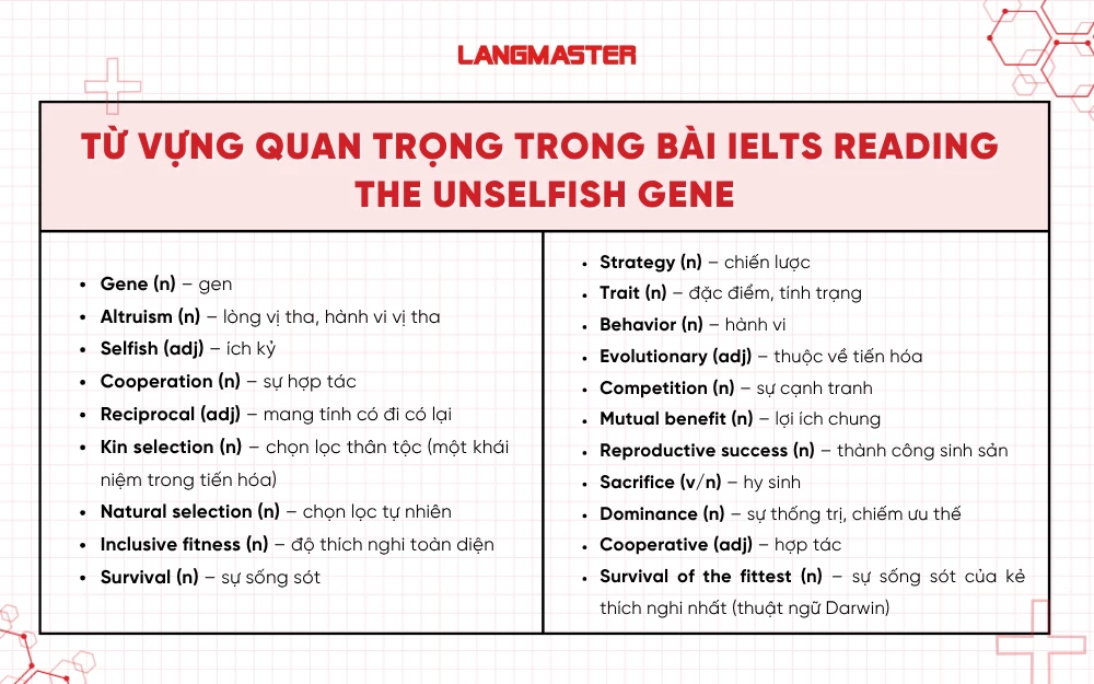 Từ vựng quan trọng trong bài IELTS Reading The Unselfish Gene