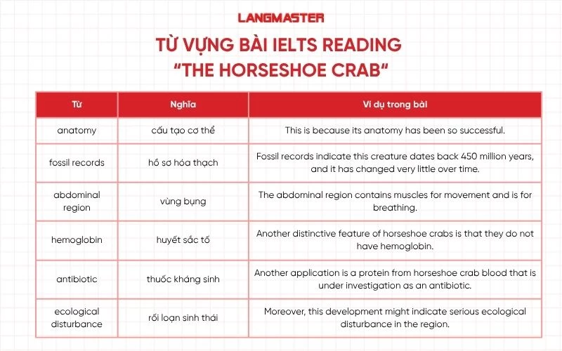 Các từ vựng quan trọng trong bài IELTS Reading “The horseshoe crab”