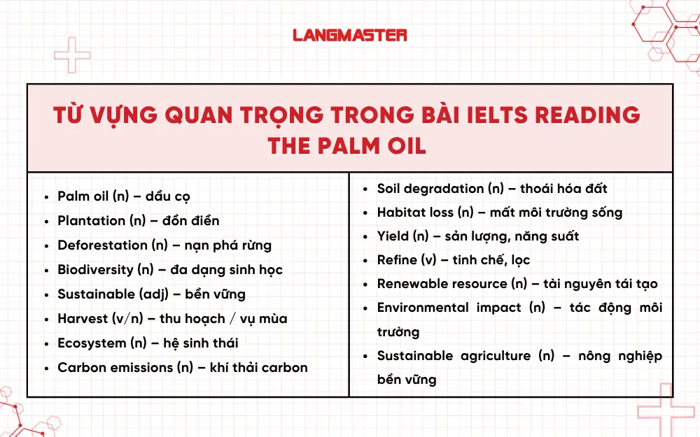 Từ vựng quan trọng trong bài IELTS Reading Palm Oil