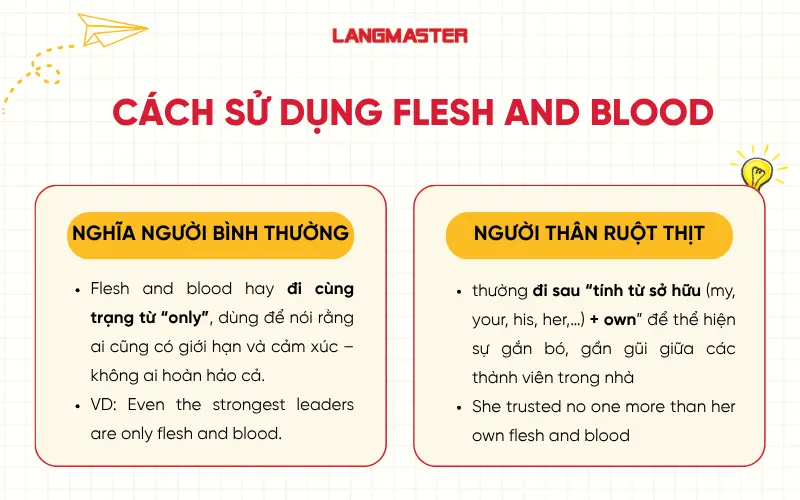 Cách sử dụng Flesh and blood