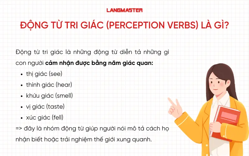 Động từ tri giác là gì?