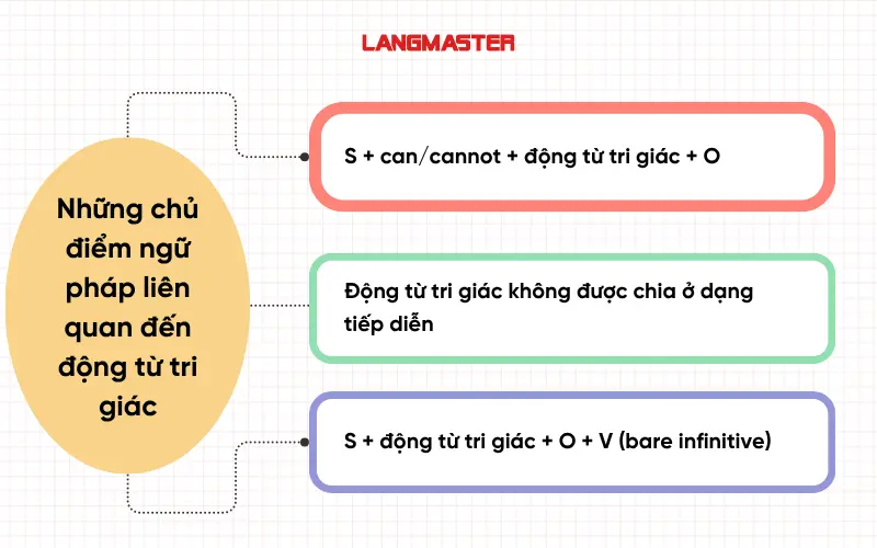Những chủ điểm ngữ pháp liên quan động từ tri giác