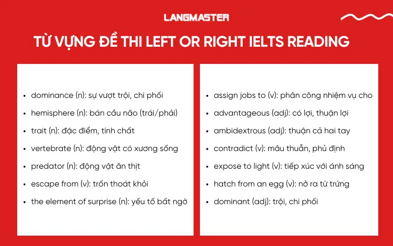 Từ vựng đề thi Left or Right IELTS Reading