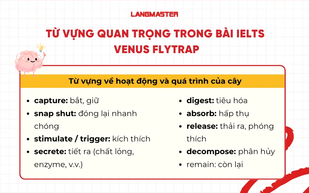 Từ vựng mô tả hoạt động, quá trình của cây 