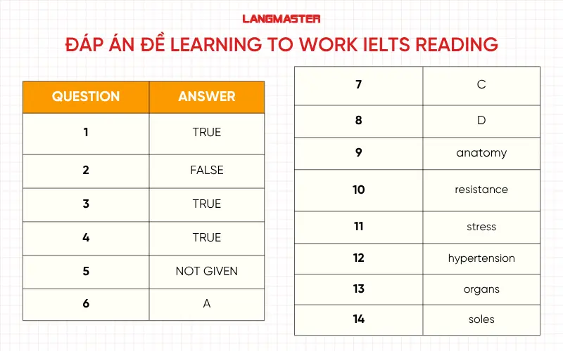 Đáp án chi tiết đề thi Learning to Work IELTS Reading