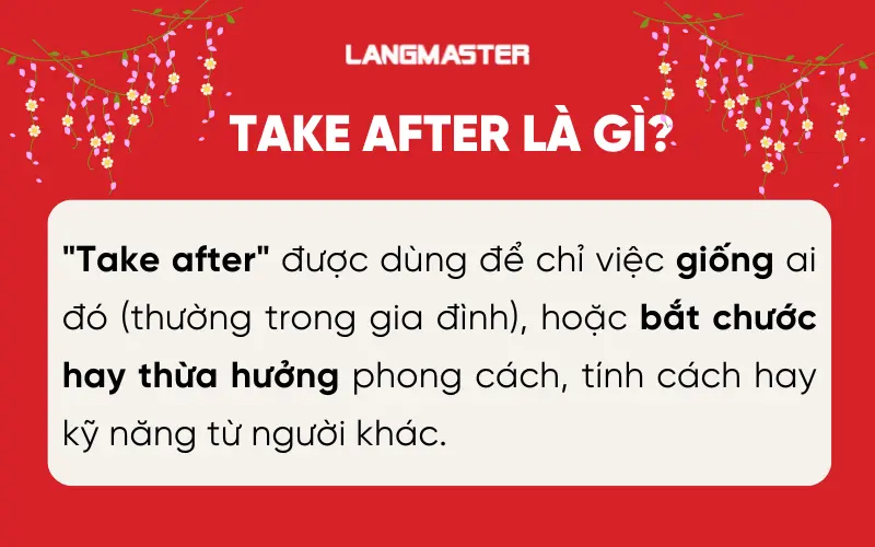 Take after là gì?