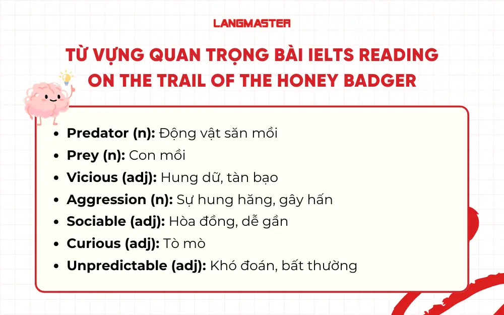 Từ vựng quan trọng trong bài IELTS Reading On the trail of the honey badger