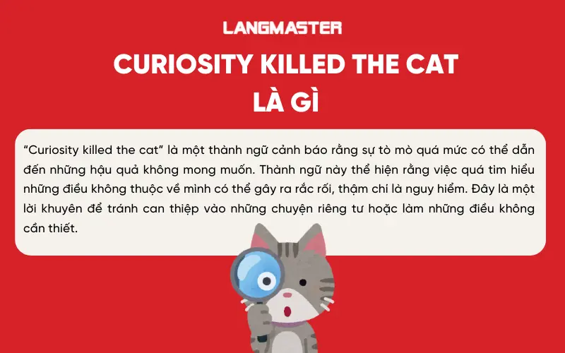 Curiosity killed the cat là gì?
