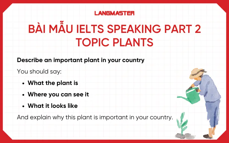 Bài mẫu IELTS Speaking Part 2 topic Plants