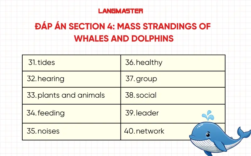Section 4: Mass strandings of whales and dolphins
