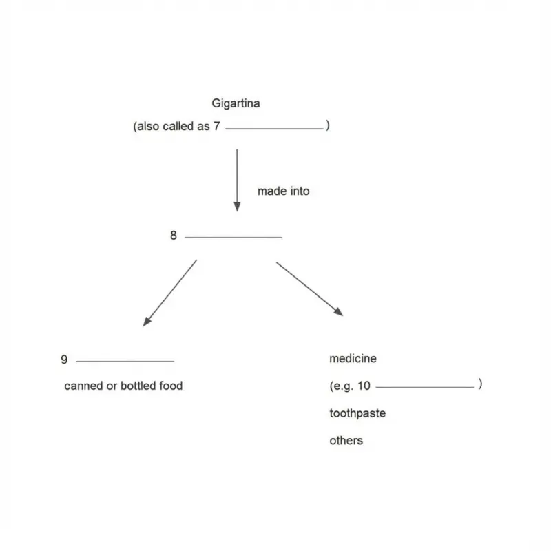 Đề thi IELTS Reading tháng 12/2025