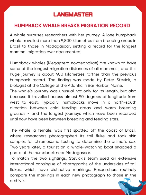 Humpback whale breaks migration record bài đọc IELTS 