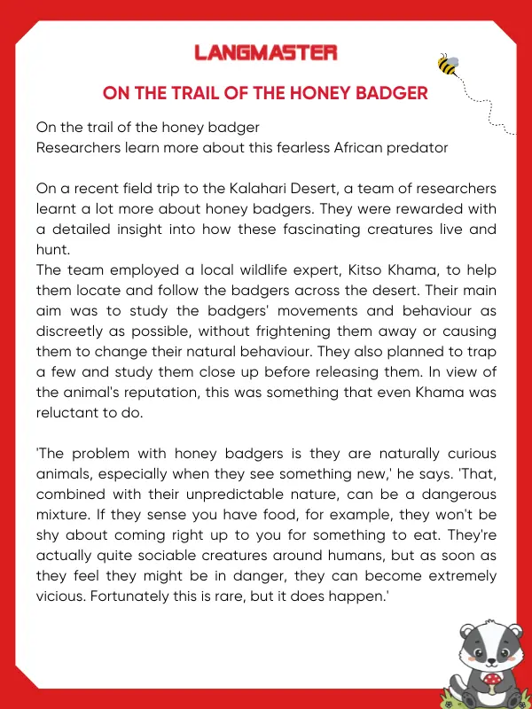 On the trail of the honey badger bài đọc IELTS Reading 