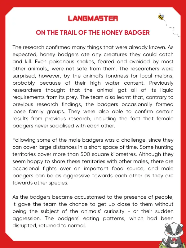 On the trail of the honey badger bài đọc IELTS Reading