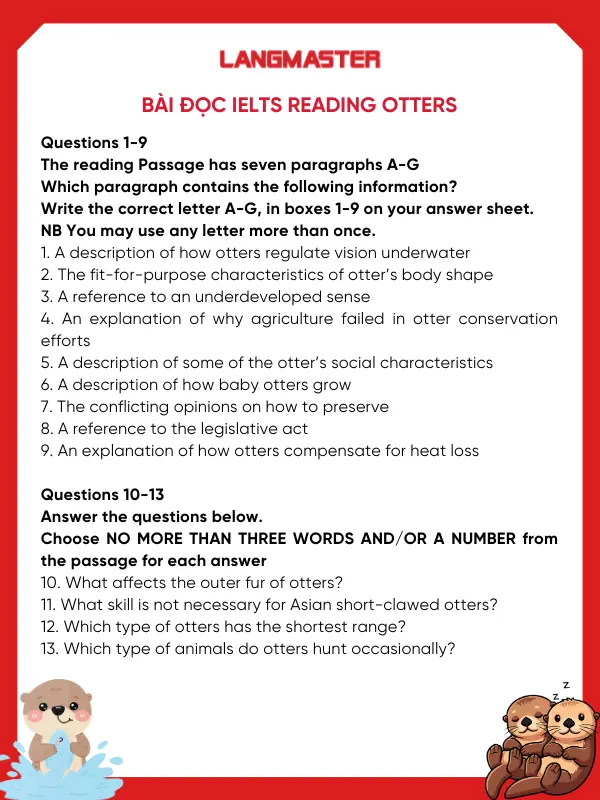 Bài đọc IELTS Reading Otters