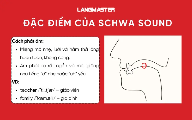 Đặc điểm của schwa sound