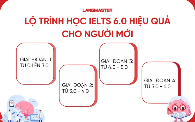 Lộ trình học IELTS 6.0 hiệu quả cho người mới