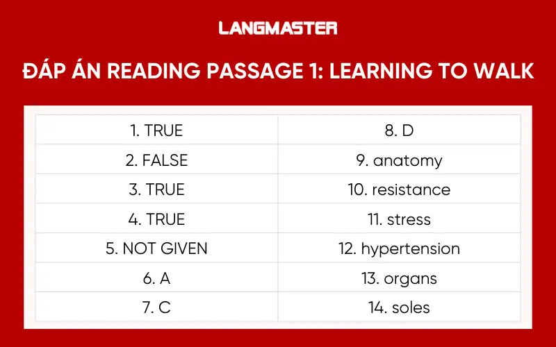 Đáp án READING PASSAGE 1: Learning to Walk