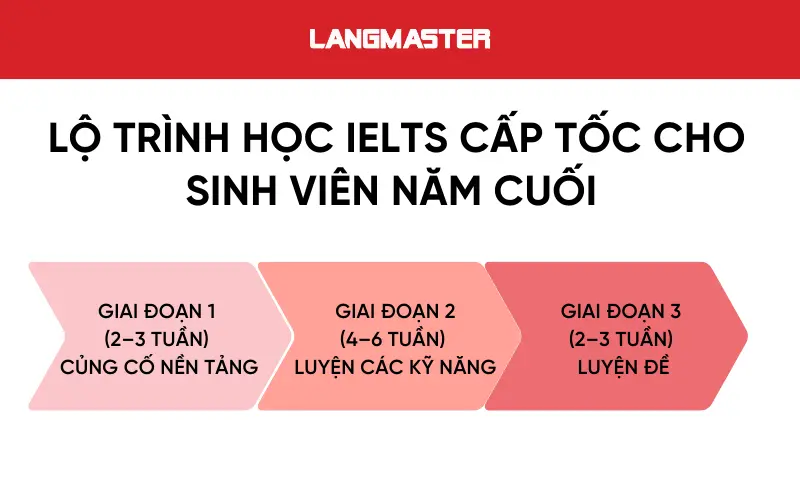 Lộ trình học IELTS cấp tốc cho sinh viên năm cuối