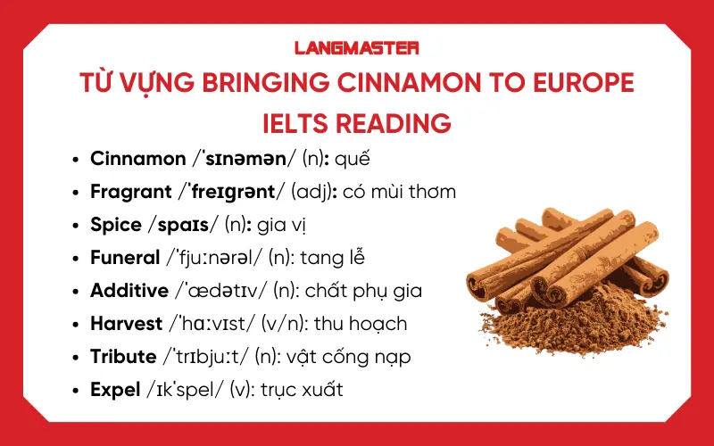 Từ vựng đề Bringing cinnamon to Europe IELTS Reading