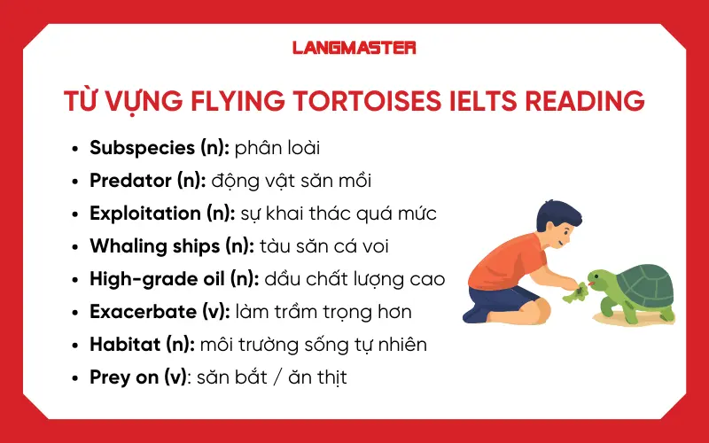 Từ vựng cần lưu ý bài Flying tortoises IELTS Reading