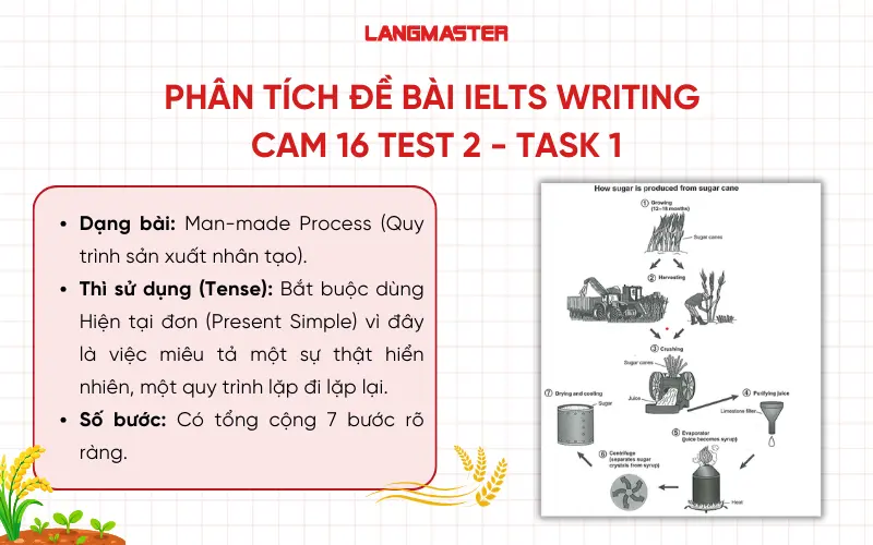 PHÂN TÍCH ĐỀ BÀI IELTS WRITING 
CAM 16 TEST 2 - TASK 1