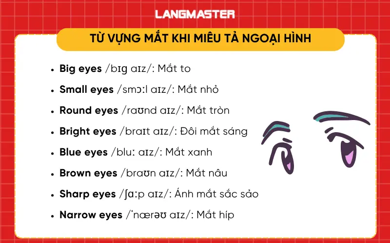 Từ vựng về mắt khi miêu tả ngoại hình bằng tiếng Anh