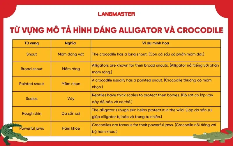 Nhóm từ vựng mô tả hình dáng