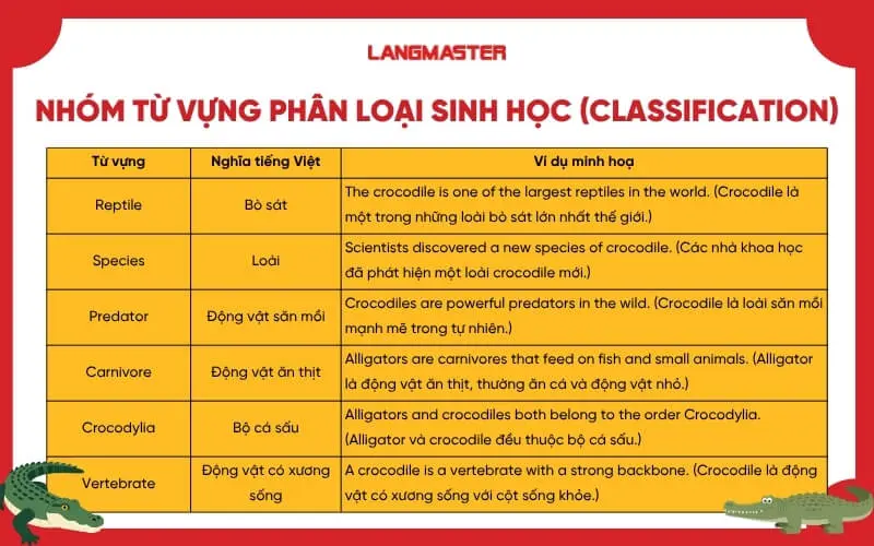 Nhóm từ vựng phân loại sinh học (Classification)