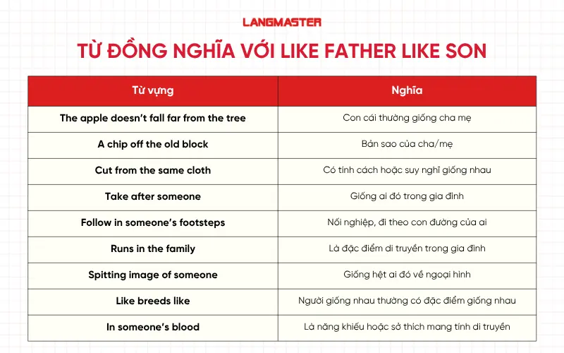 Từ đồng nghĩa với Like father like son