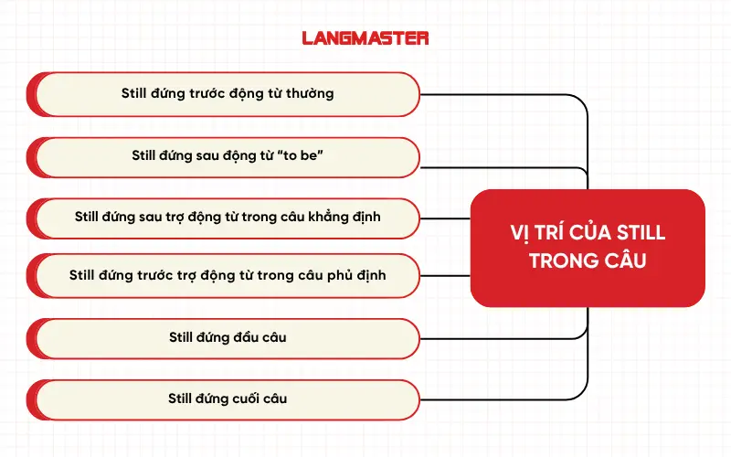 Vị trí của Still trong câu