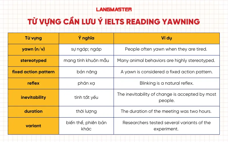 Từ vựng cần lưu ý trong bài IELTS Reading Yawning