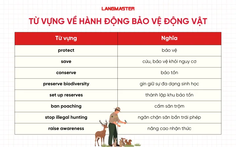 Từ vựng về hành động bảo vệ động vật