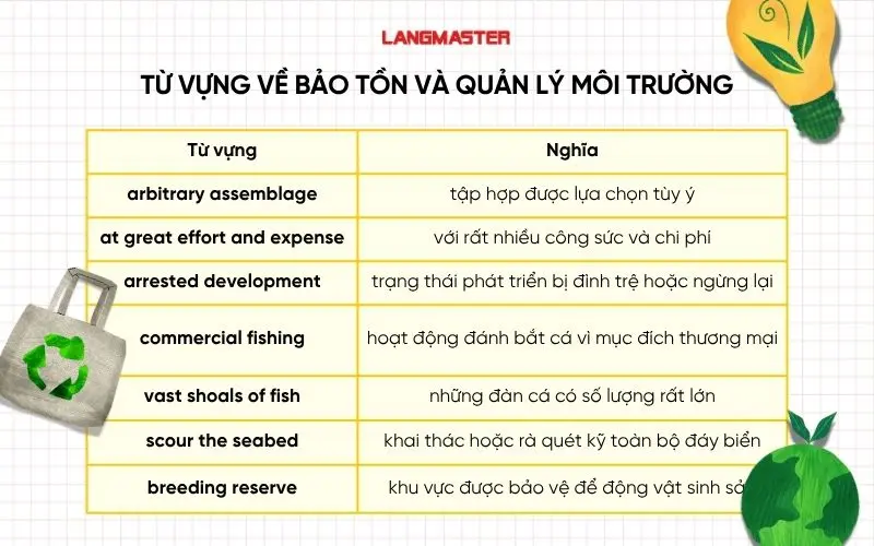 Từ vựng về bảo tồn và quản lý môi trường trong ielts reading bring back the big cats