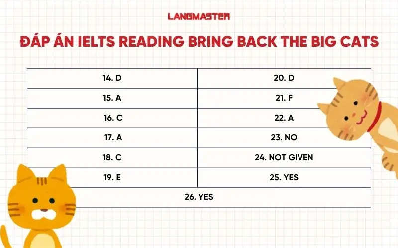 Đáp án IELTS Reading Bring Back the Big Cats