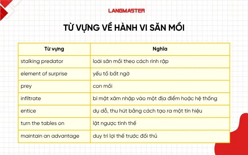 Từ vựng cần lưu ý trong bài IELTS Reading Jumping Spider